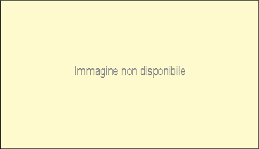 Immagine non disponibile